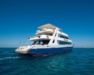 Egypte-croisière plongée bateau confort Seafari-Mer Rouge