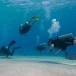 Spots plongée Bonaire avec Divi Dive (1)