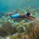 Spots plongée Bonaire avec Divi Dive snorkeling
