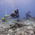 Spots plongée Bonaire avec Divi Dive