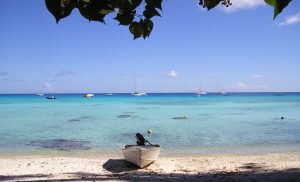 Polynésie Pension Bounty Spots d'Evasion