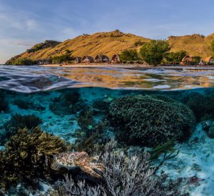 Snorkeling Komodo Spots d'Evasion
