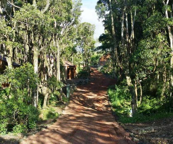 Parc écolodge Pico Spots d'Evasion