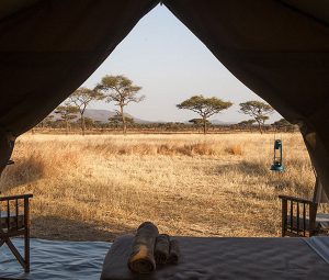 Safari Tanzanie Kati Kati Tented Camp tent