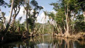 La Dominique Indian River