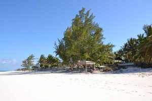 Plage Greenwood Beach resort Cat island - Copyright The Islands Of The Bahamas - Ministry of Tourism (2)
