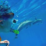 snorkeling enfant avec dauphins Egypte