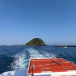 Yonaguni-bateau-plongée