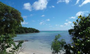 croisière kite Antilles Marie Galante