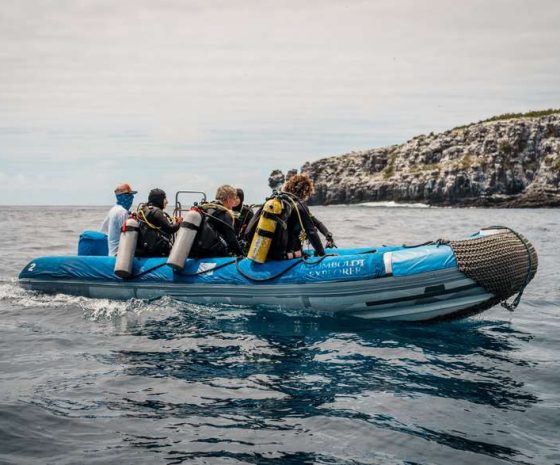 Humboldt Explorer Galapagos