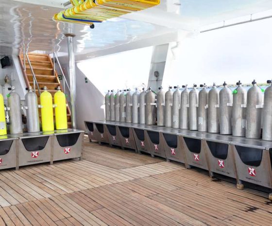 Humboldt Explorer Galapagos