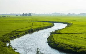 Excursqion Mekong rizière vietnam