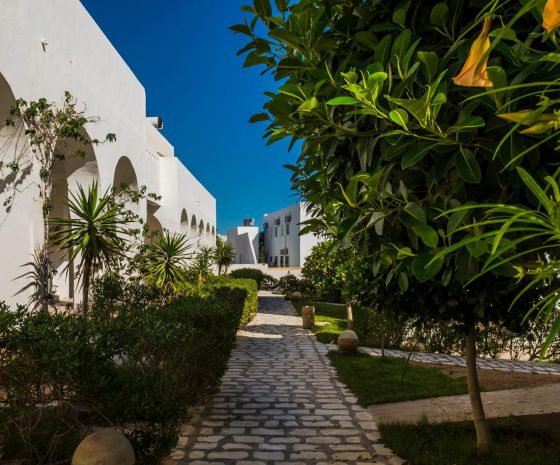 Jardins Toumana Djerba Tunisie