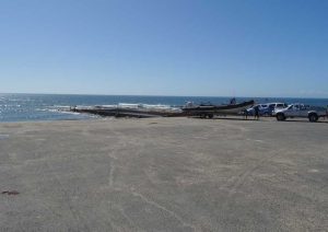 Plongée requins Shelly Beach Protea Banks