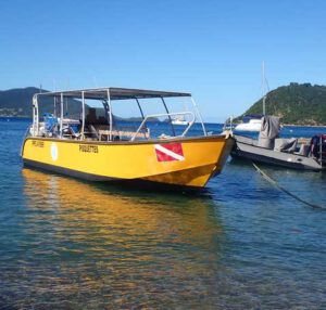 plongée combiné Guadeloupe les Saintes