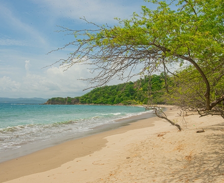 Costa Rica kite Nandel Beach Resort plage